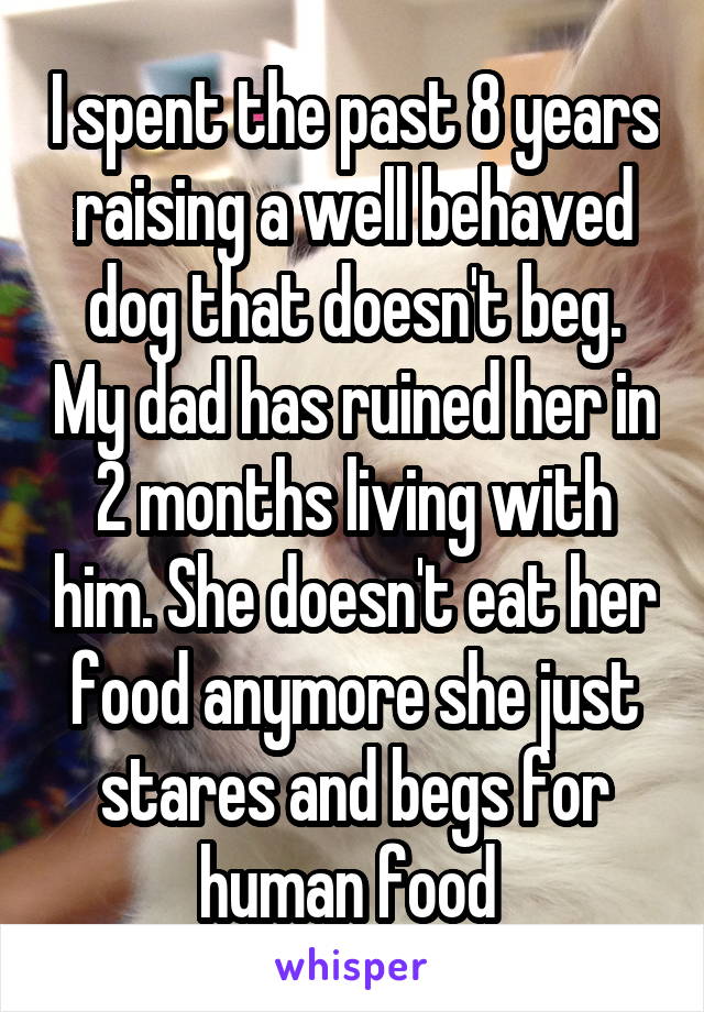 I spent the past 8 years raising a well behaved dog that doesn't beg. My dad has ruined her in 2 months living with him. She doesn't eat her food anymore she just stares and begs for human food 