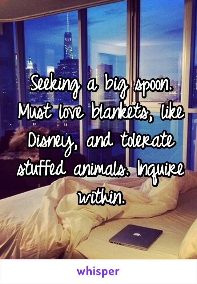 Seeking a big spoon. Must love blankets, like Disney, and tolerate stuffed animals. Inquire within.