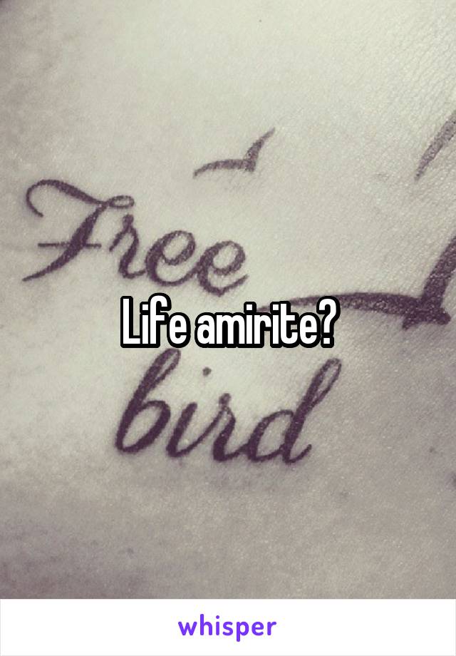 Life amirite?