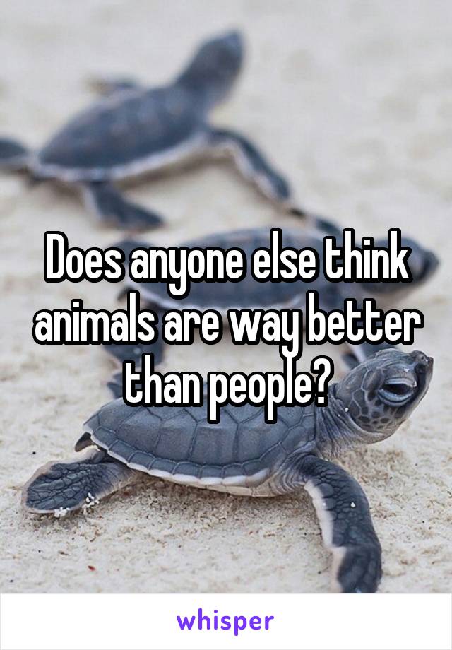 Does anyone else think animals are way better than people?