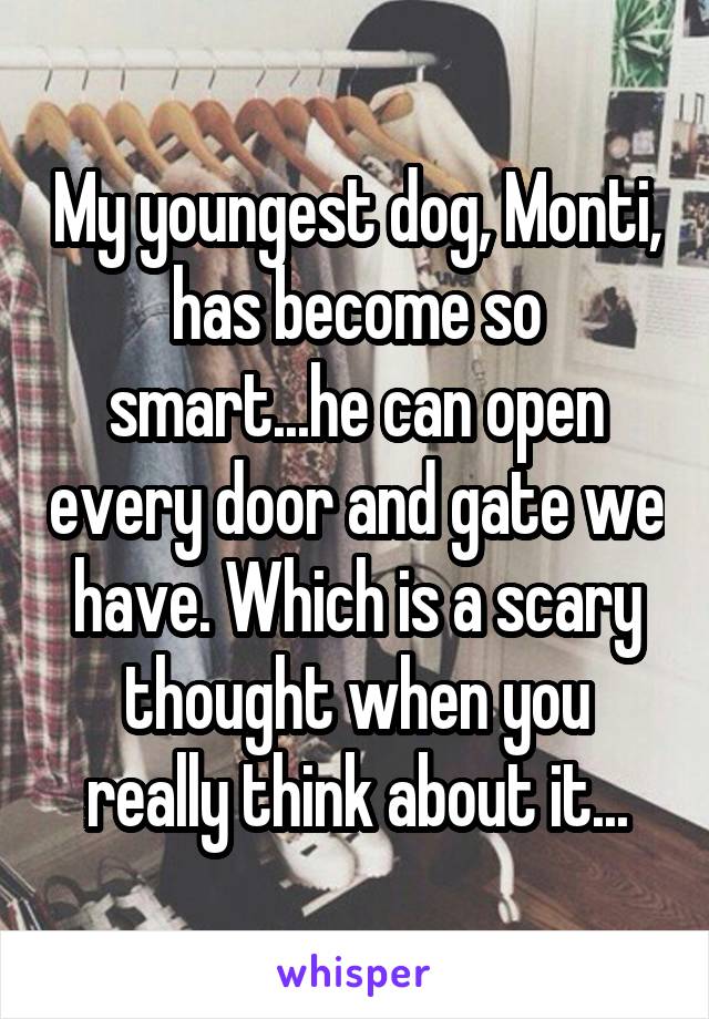 My youngest dog, Monti, has become so smart...he can open every door and gate we have. Which is a scary thought when you really think about it...