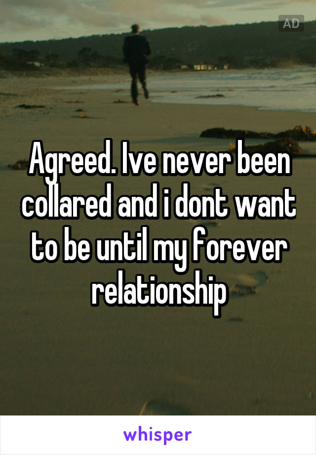 Agreed. Ive never been collared and i dont want to be until my forever relationship