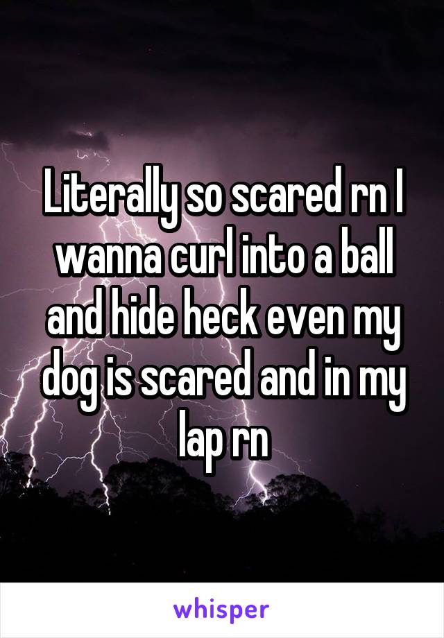 Literally so scared rn I wanna curl into a ball and hide heck even my dog is scared and in my lap rn