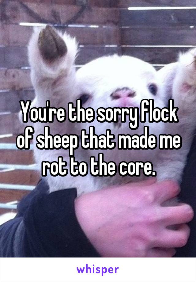 You're the sorry flock of sheep that made me rot to the core.