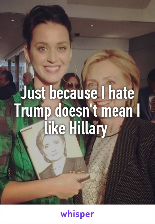 Just because I hate Trump doesn't mean I like Hillary 