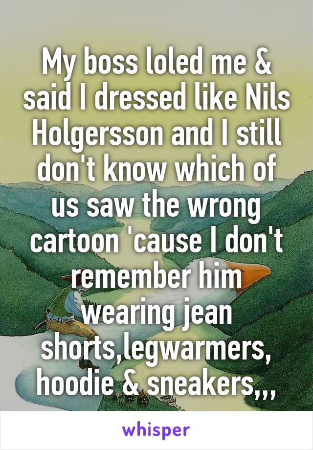 My boss loled me & said I dressed like Nils Holgersson and I still don't know which of us saw the wrong cartoon 'cause I don't remember him wearing jean shorts,legwarmers, hoodie & sneakers,,,