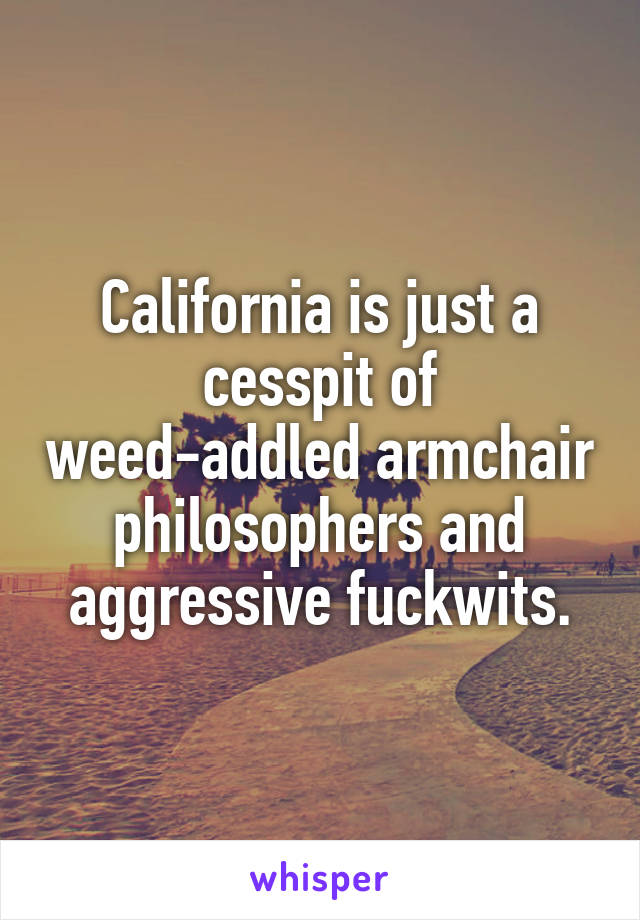 California is just a cesspit of weed-addled armchair philosophers and aggressive fuckwits.