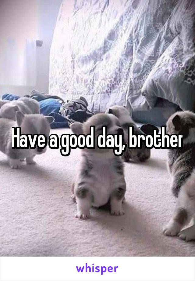 Have a good day, brother