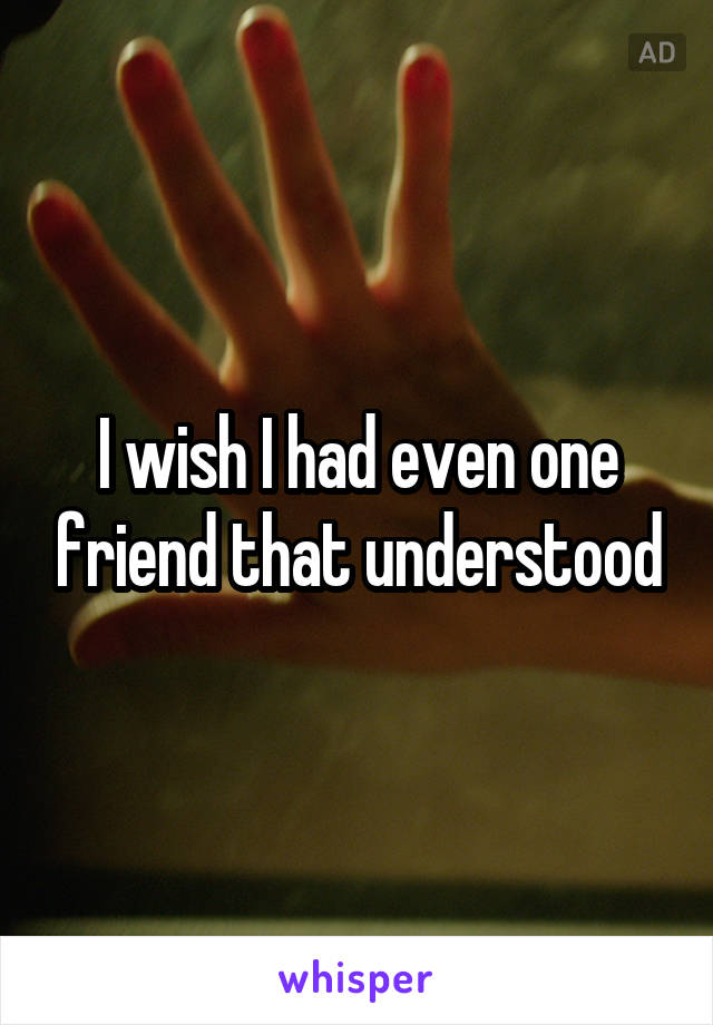 I wish I had even one friend that understood