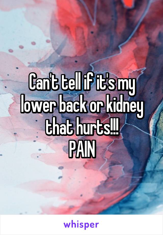 Can't tell if it's my lower back or kidney that hurts!!!
PAIN