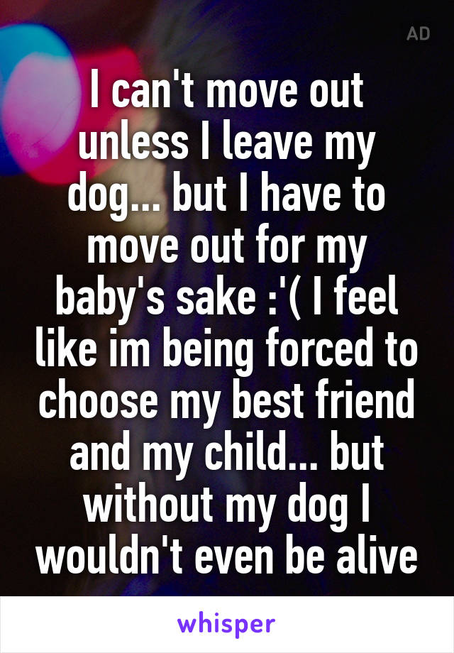 I can't move out unless I leave my dog... but I have to move out for my baby's sake :'( I feel like im being forced to choose my best friend and my child... but without my dog I wouldn't even be alive