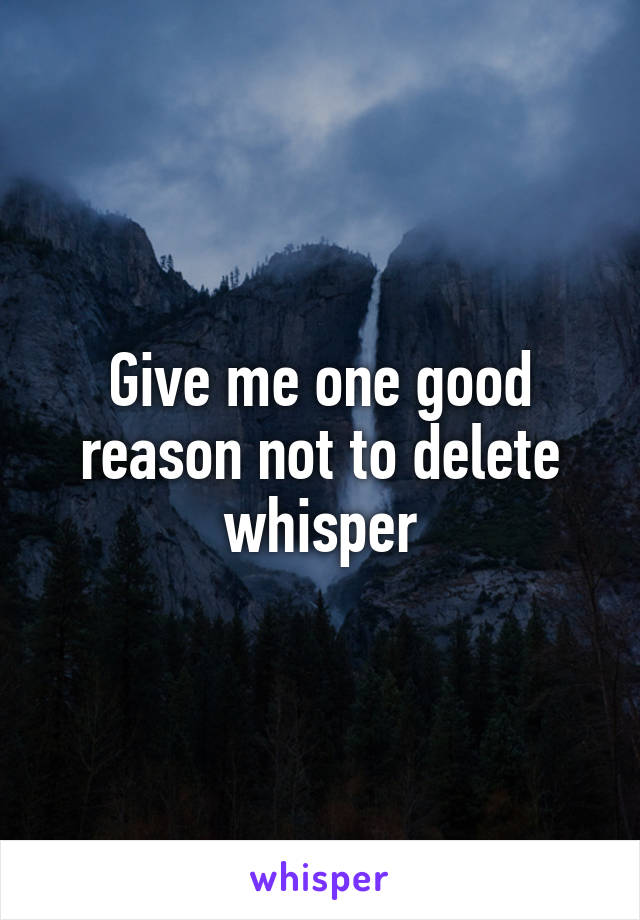 Give me one good reason not to delete whisper