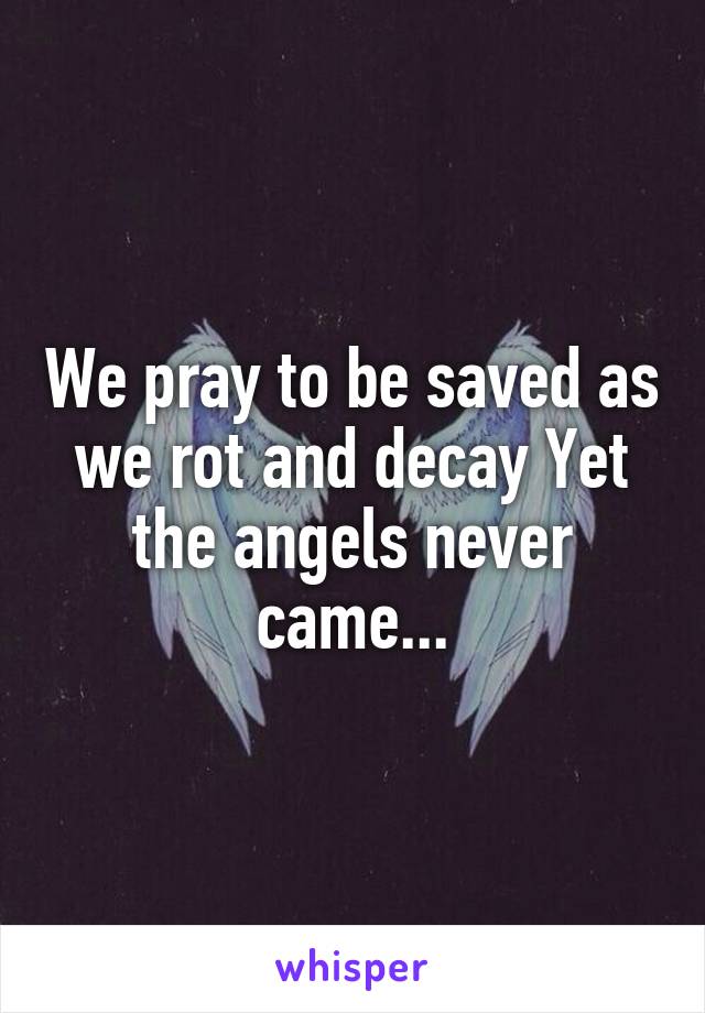 We pray to be saved as we rot and decay Yet the angels never came...