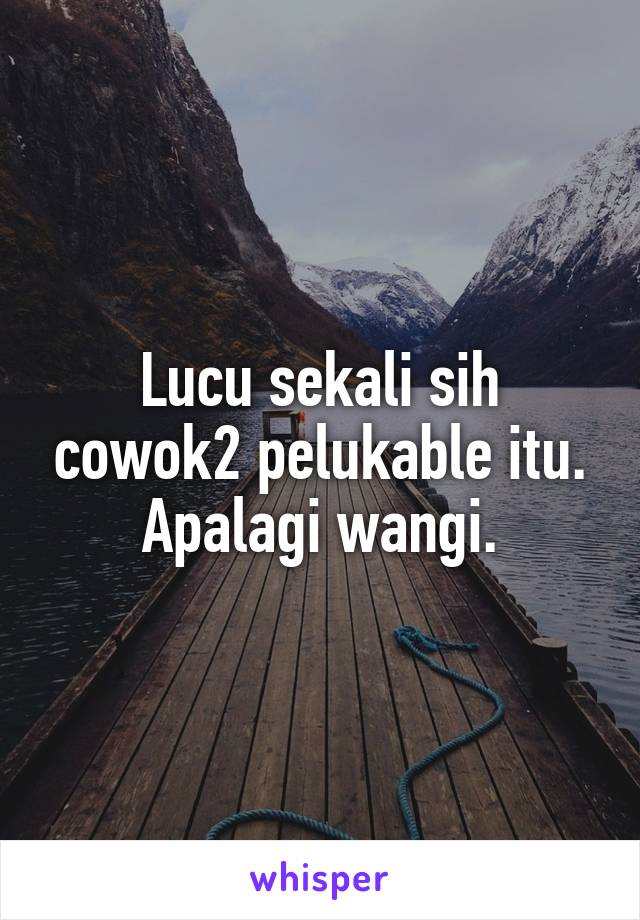 Lucu sekali sih cowok2 pelukable itu. Apalagi wangi.