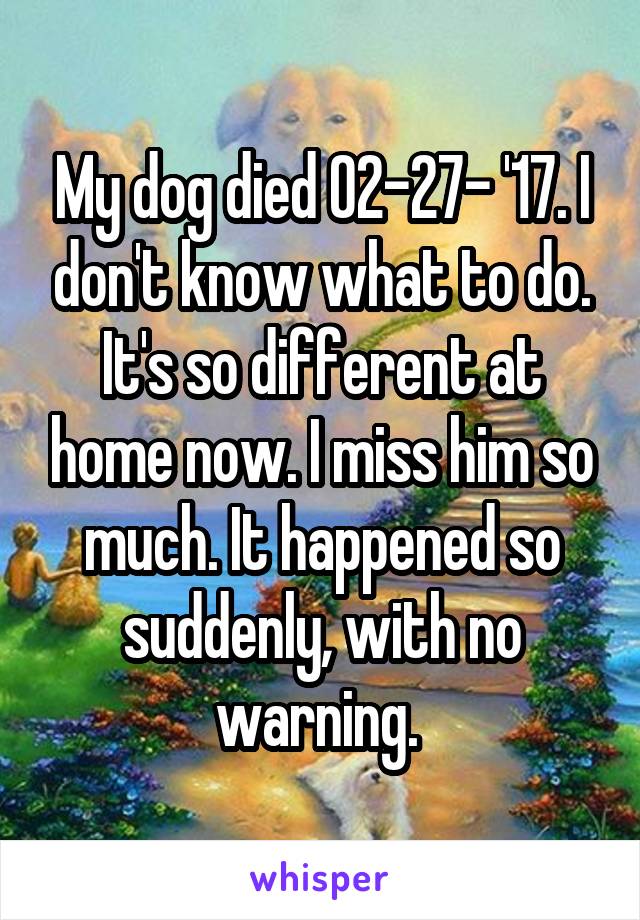 My dog died 02-27- '17. I don't know what to do. It's so different at home now. I miss him so much. It happened so suddenly, with no warning. 