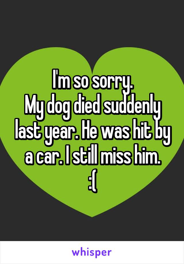 I'm so sorry.
My dog died suddenly last year. He was hit by a car. I still miss him.
:(