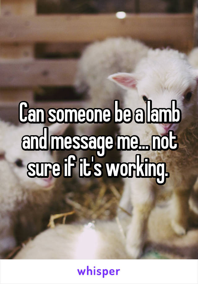 Can someone be a lamb and message me... not sure if it's working. 