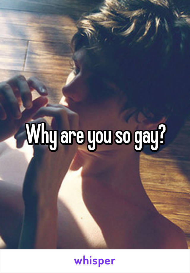 Why are you so gay?