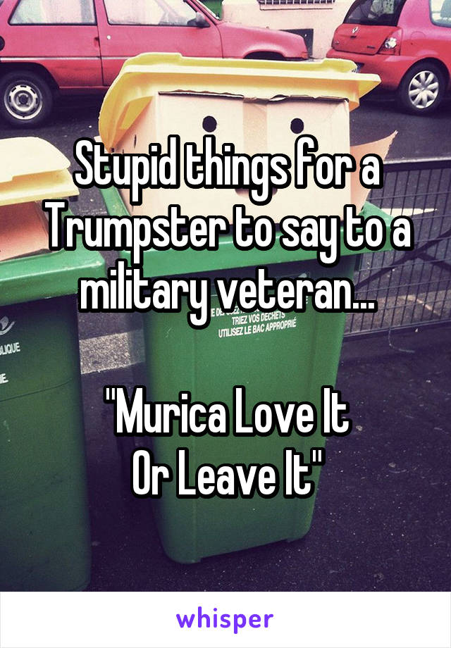 Stupid things for a Trumpster to say to a military veteran...

"Murica Love It
Or Leave It"