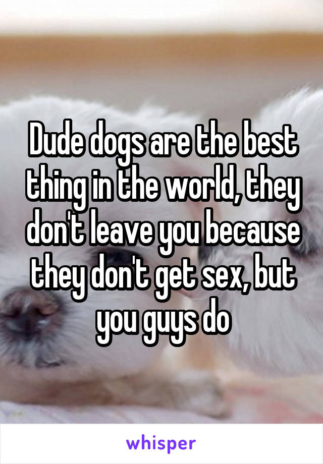 Dude dogs are the best thing in the world, they don't leave you because they don't get sex, but you guys do