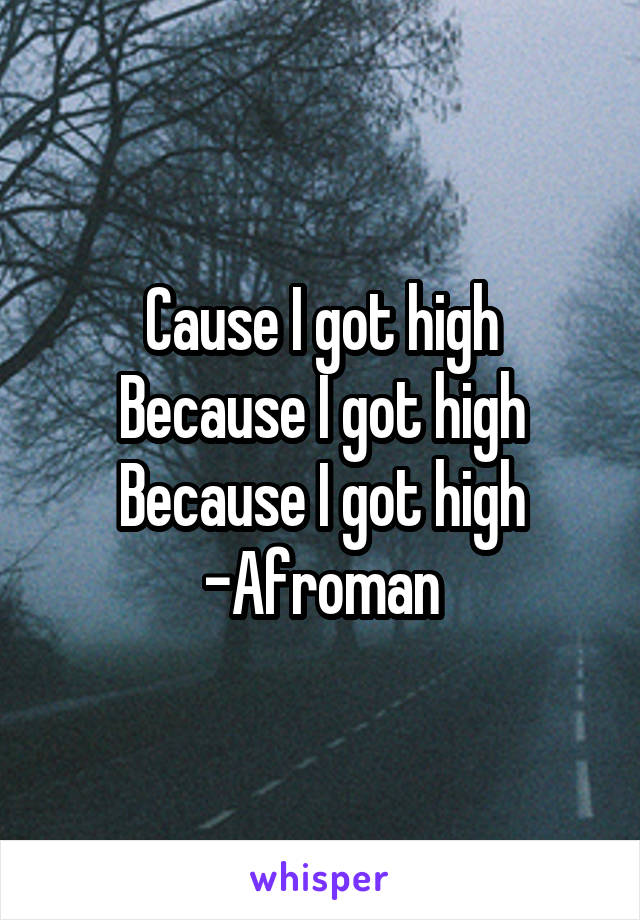 Cause I got high
Because I got high
Because I got high
-Afroman