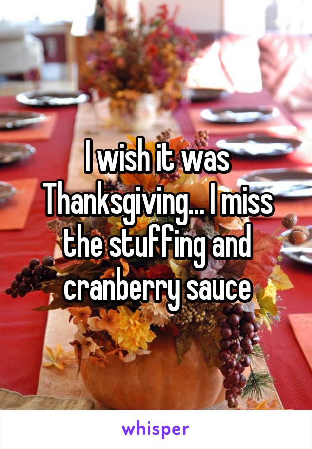 I wish it was Thanksgiving... I miss the stuffing and cranberry sauce