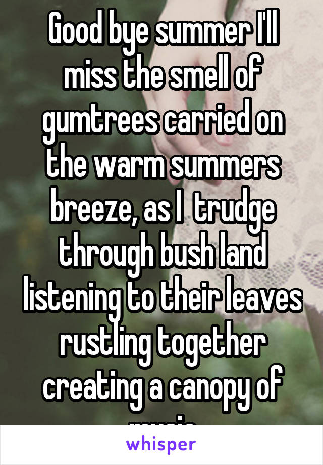 Good bye summer I'll miss the smell of gumtrees carried on the warm summers breeze, as I  trudge through bush land listening to their leaves rustling together creating a canopy of music