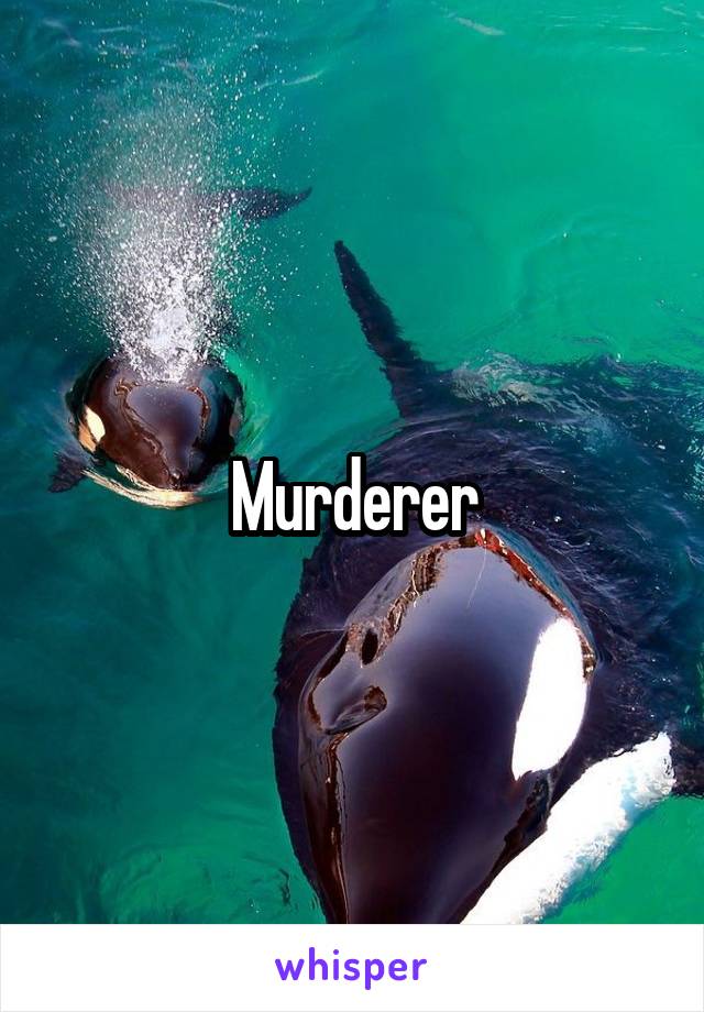 Murderer