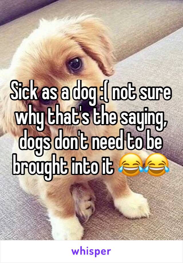 Sick as a dog :( not sure why that's the saying, dogs don't need to be brought into it 😂😂