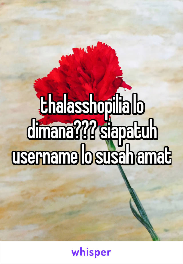 thalasshopilia lo dimana??? siapatuh username lo susah amat