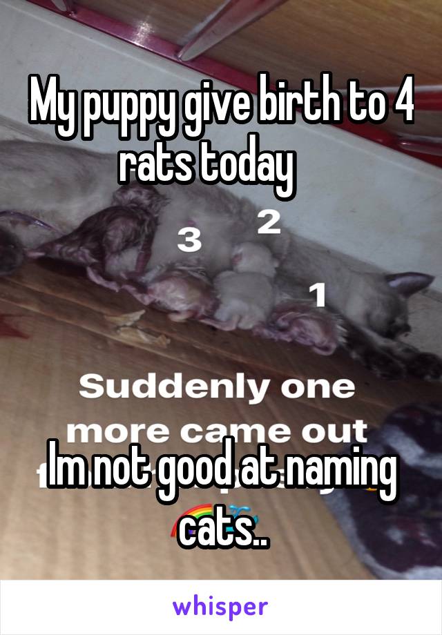 My puppy give birth to 4 rats today    




Im not good at naming cats..