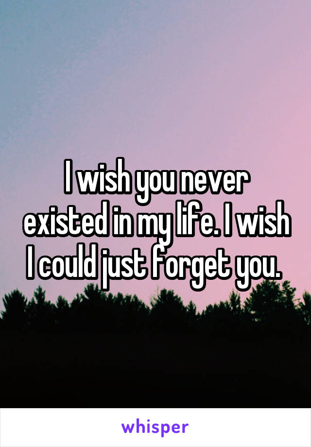 I wish you never existed in my life. I wish I could just forget you. 