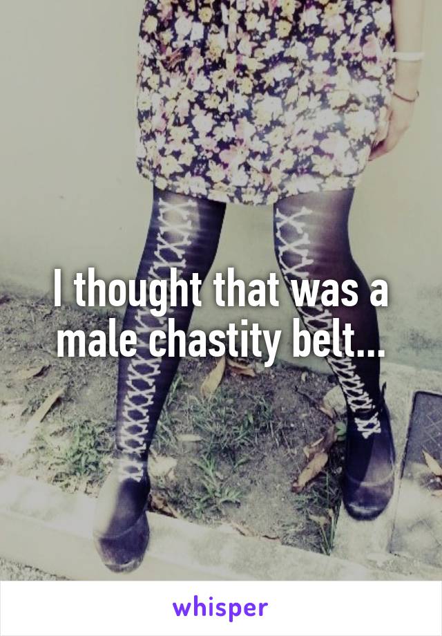 I thought that was a male chastity belt...