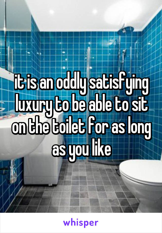 it is an oddly satisfying luxury to be able to sit on the toilet for as long as you like