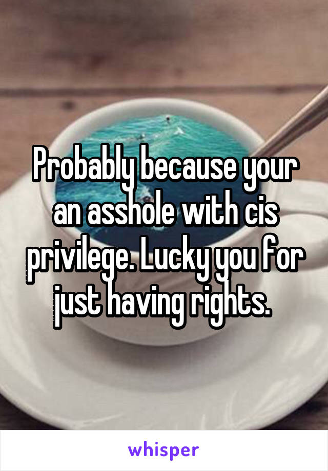 Probably because your an asshole with cis privilege. Lucky you for just having rights. 