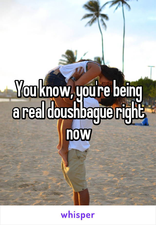 You know, you're being a real doushbague right now