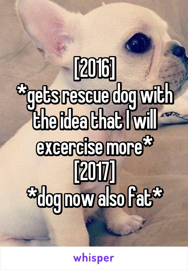 [2016]
*gets rescue dog with the idea that I will excercise more*
[2017]
*dog now also fat*