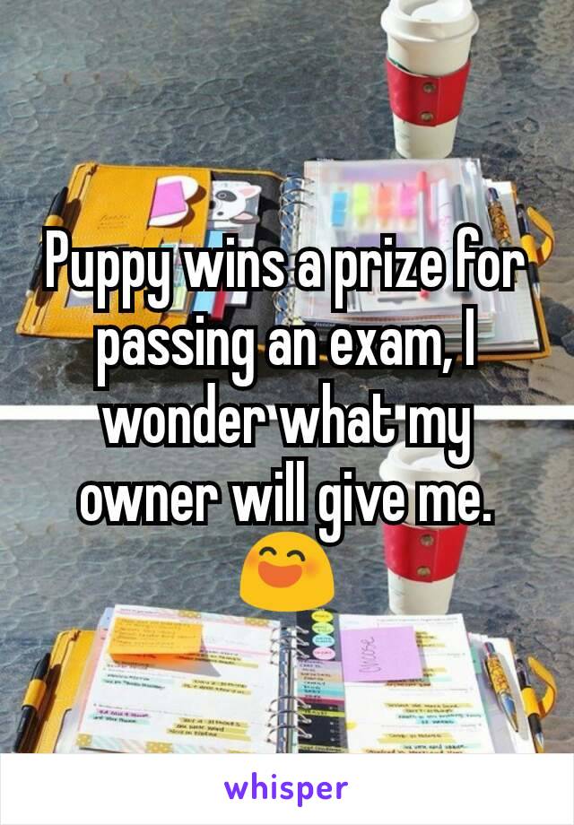 Puppy wins a prize for passing an exam, I wonder what my owner will give me. 😄