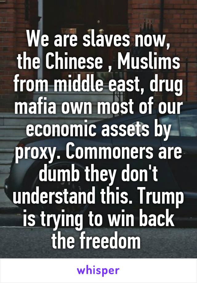 We are slaves now, the Chinese , Muslims from middle east, drug mafia own most of our economic assets by proxy. Commoners are dumb they don't understand this. Trump is trying to win back the freedom 