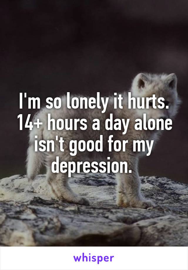 I'm so lonely it hurts. 14+ hours a day alone isn't good for my depression. 