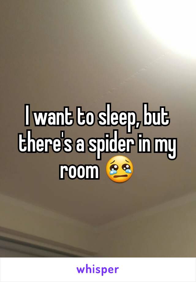 I want to sleep, but there's a spider in my room 😢