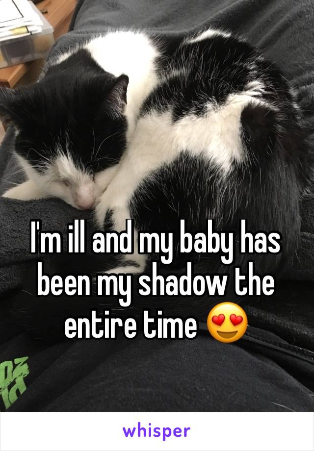 I'm ill and my baby has been my shadow the entire time 😍