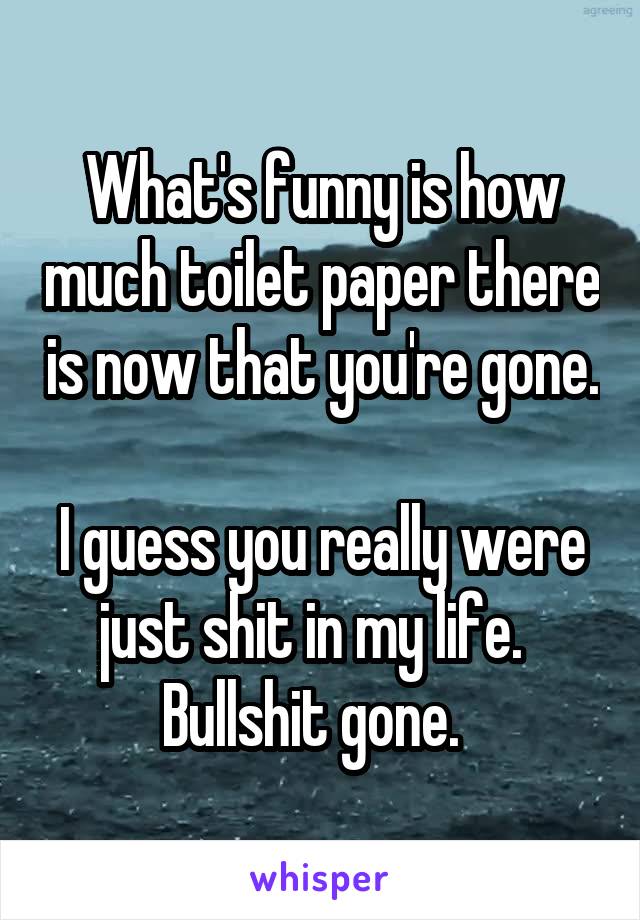 What's funny is how much toilet paper there is now that you're gone.  
I guess you really were just shit in my life.  
Bullshit gone.  