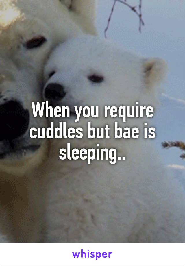 When you require cuddles but bae is sleeping..