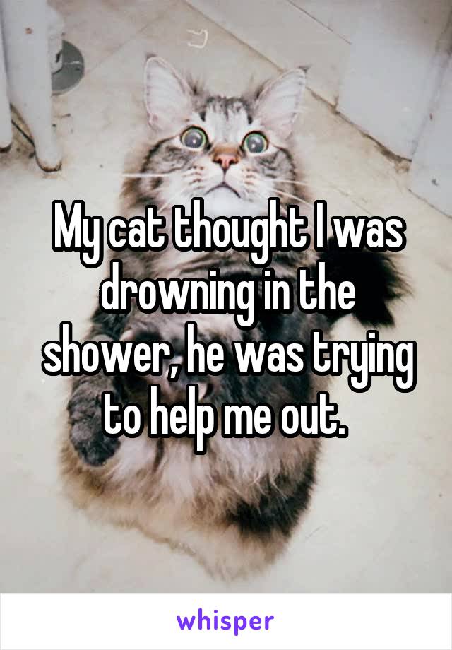 My cat thought I was drowning in the shower, he was trying to help me out. 