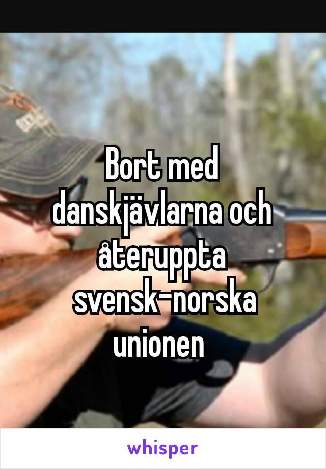 Bort med danskjävlarna och återuppta
 svensk-norska unionen 