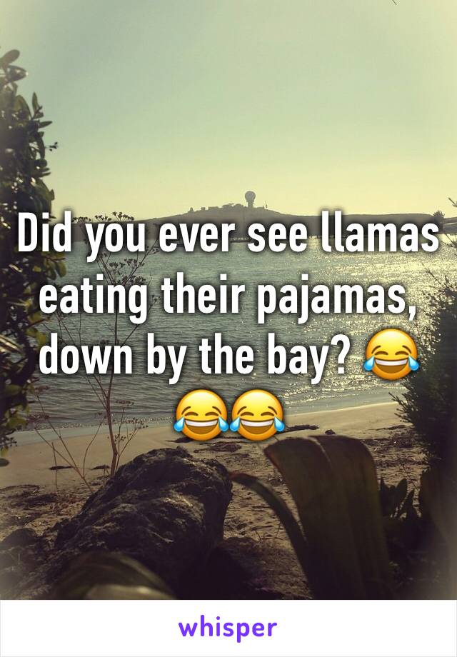 Did you ever see llamas eating their pajamas, down by the bay? 😂😂😂