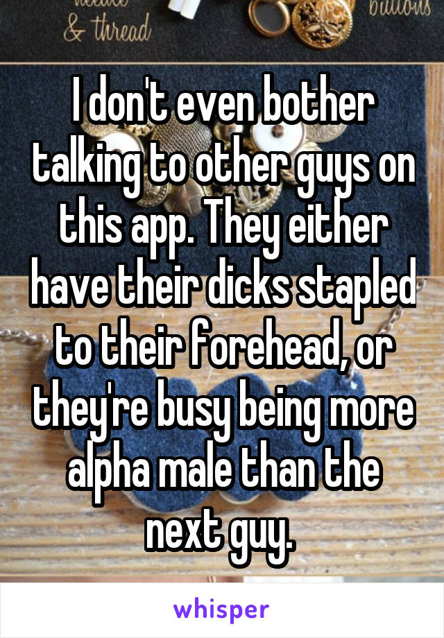 I don't even bother talking to other guys on this app. They either have their dicks stapled to their forehead, or they're busy being more alpha male than the next guy. 