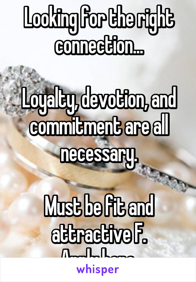 Looking for the right connection...

Loyalty, devotion, and commitment are all necessary.

Must be fit and attractive F.
Apply here.