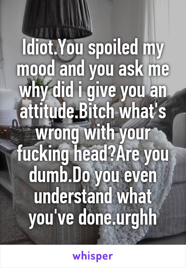 Idiot.You spoiled my mood and you ask me why did i give you an attitude.Bitch what's wrong with your fucking head?Are you dumb.Do you even understand what you've done.urghh